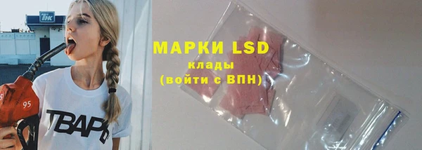 apvp Богданович