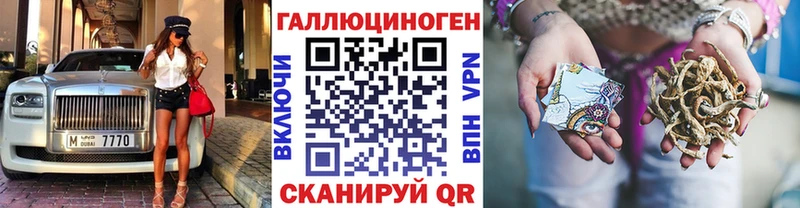 где найти   Высоцк  Псилоцибиновые грибы MAGIC MUSHROOMS 